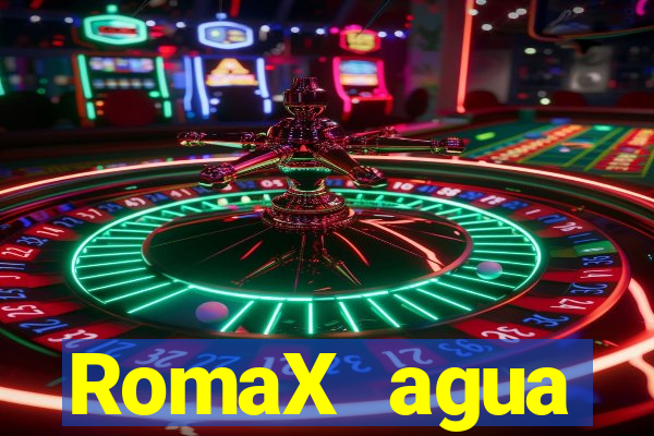 RomaX agua sanitaria fispq agua sanitaria romax